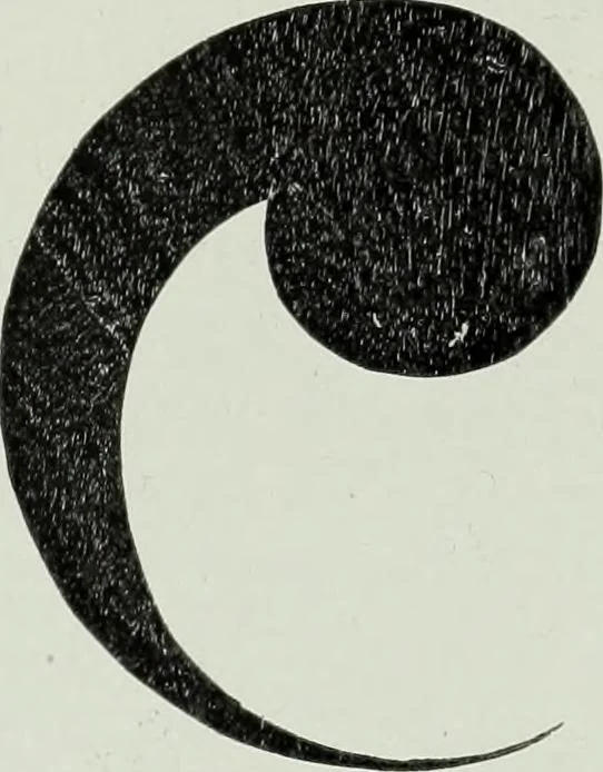 An illustration from Studies in the decorative art of Japan, 1910, leaf 84