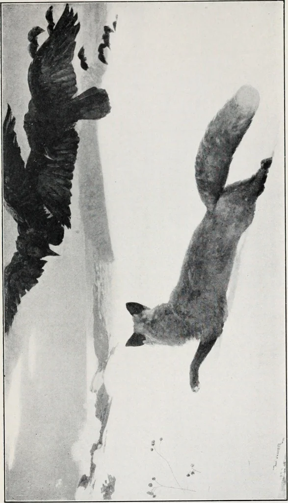 An illustration from Studies in pictures; an introduction to the famous galleries, 1907, leaf 210