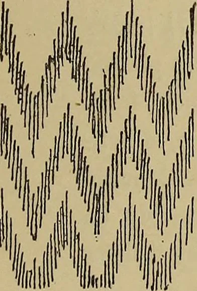 An illustration from Studies in primitive looms, 1918, leaf 112