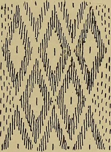 An illustration from Studies in primitive looms, 1918, leaf 112