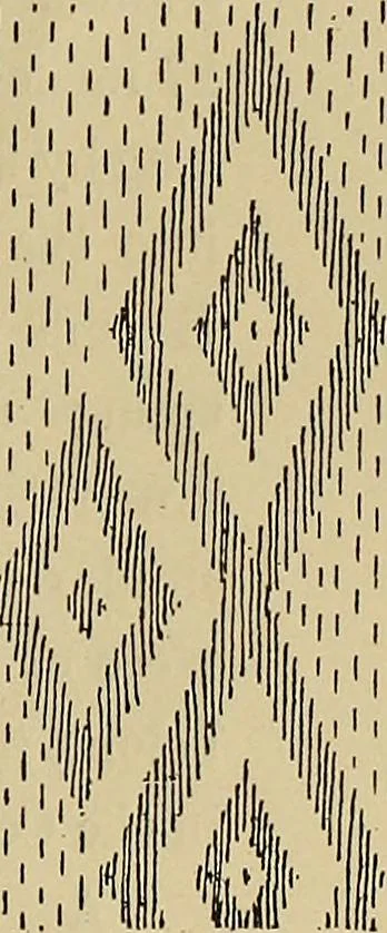An illustration from Studies in primitive looms, 1918, leaf 112