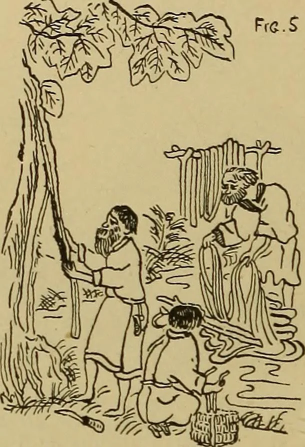 An illustration from Studies in primitive looms, 1918, leaf 21