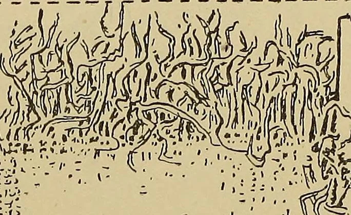 An illustration from Studies in primitive looms, 1918, leaf 44
