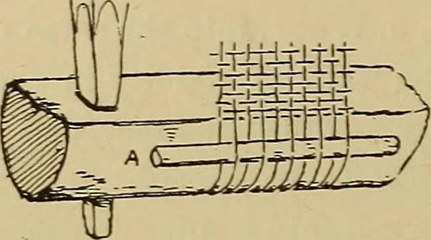 An illustration from Studies in primitive looms, 1918, leaf 65