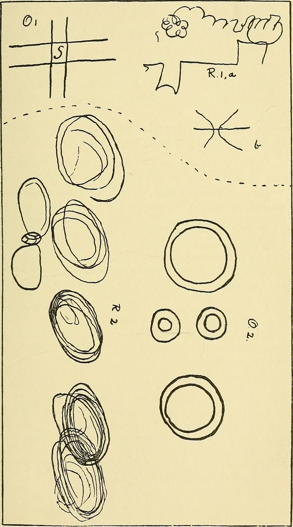 An illustration from Studies in psychical research, 1897, leaf 240