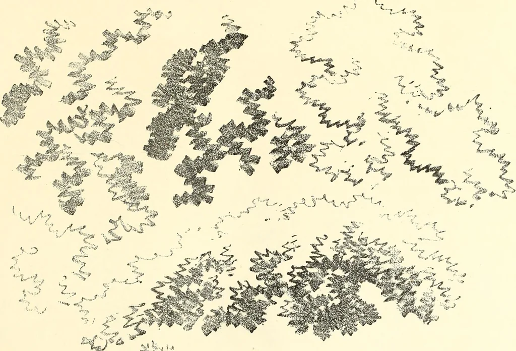 An illustration from Studies of trees in pencil and in water colors, 1895, leaf 10