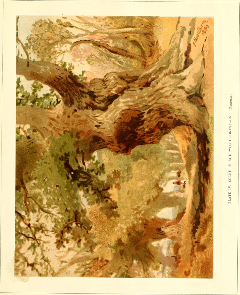 An illustration from Studies of trees in pencil and in water colors, 1895, leaf 28
