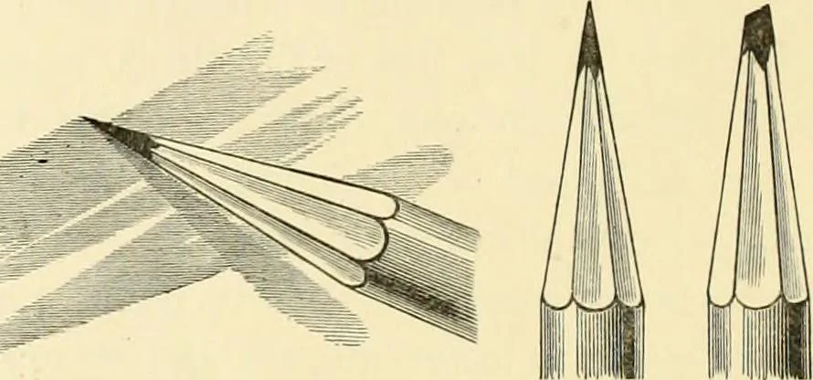 An illustration from Studies of trees in pencil and in water colors, 1895, leaf 7