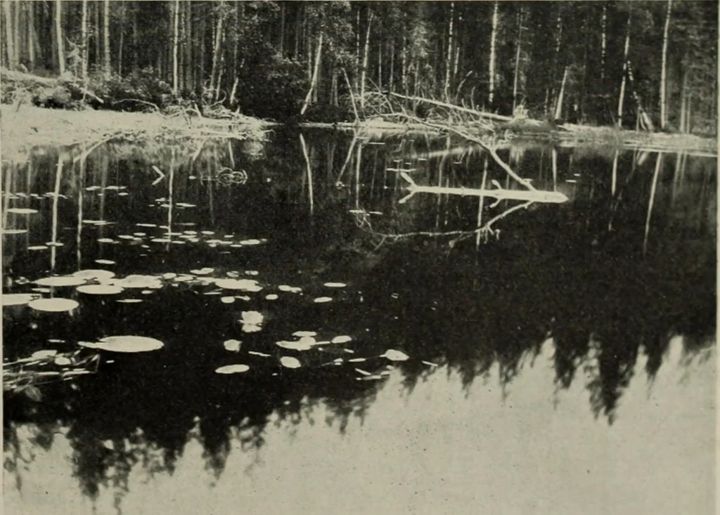An illustration from Studio international, 1893, leaf 100