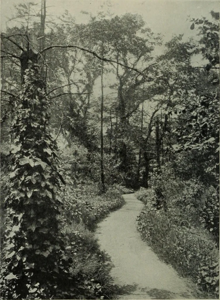 An illustration from Studio international, 1893, leaf 209