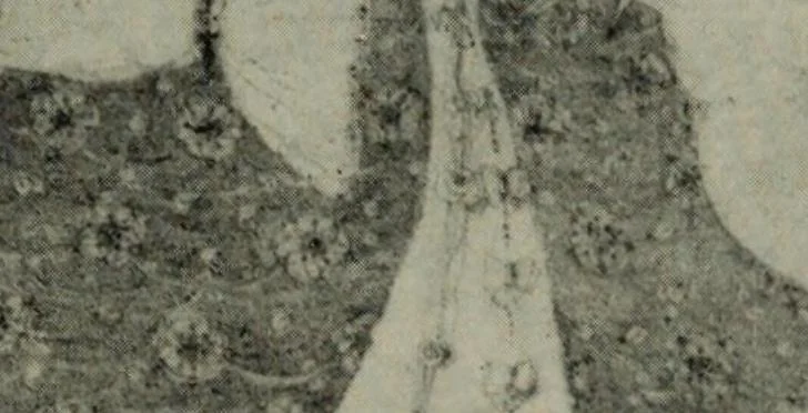 An illustration from Studio international, 1893, leaf 336