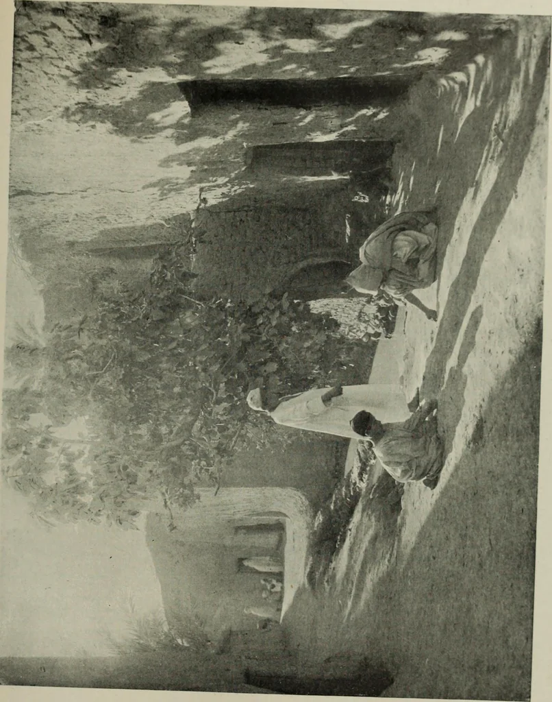 An illustration from Studio international, 1893, leaf 358