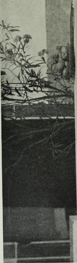 An illustration from Studio international, 1893, leaf 61