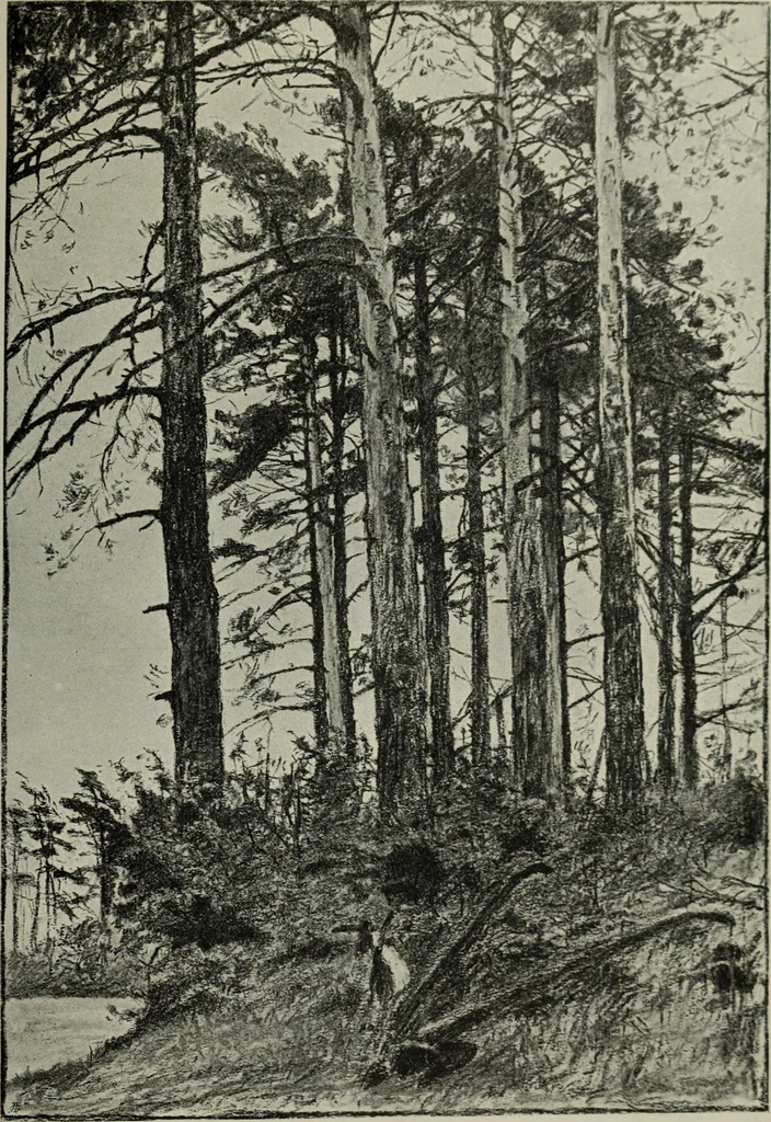 An illustration from Studio international, 1893, leaf 80