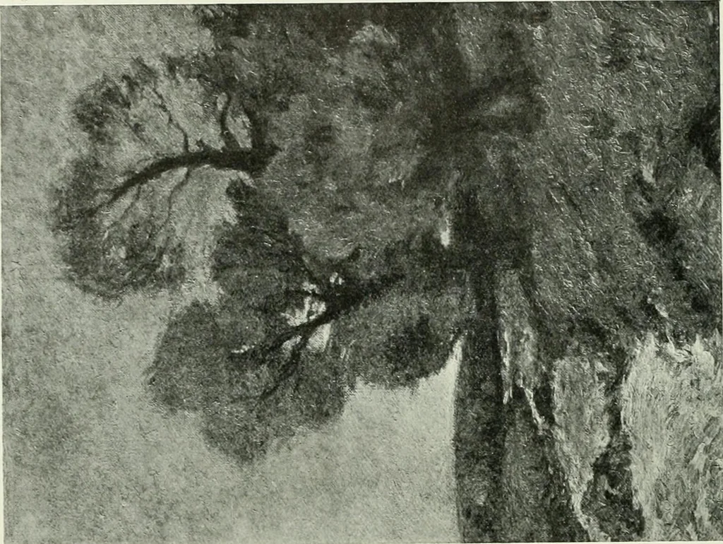 An illustration from Studio international, 1893, leaf 163