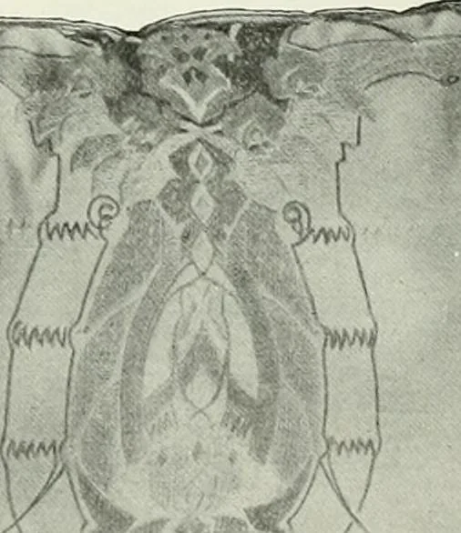 An illustration from Studio international, 1893, leaf 215