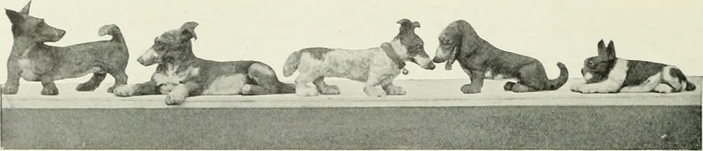 An illustration from Studio international, 1893, leaf 233