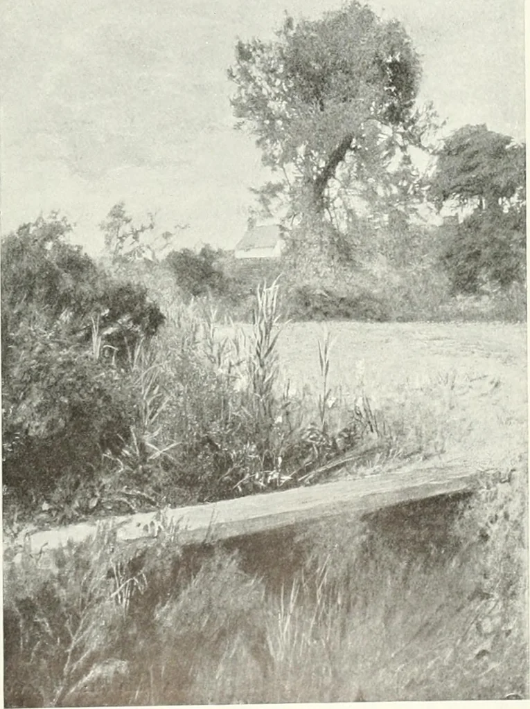 An illustration from Studio international, 1893, leaf 102