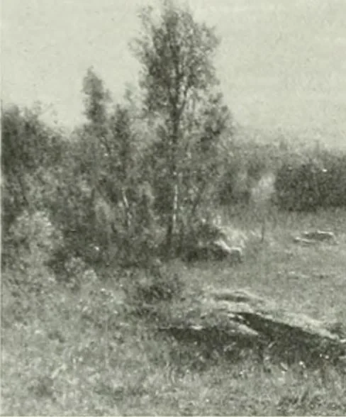 An illustration from Studio international, 1893, leaf 11