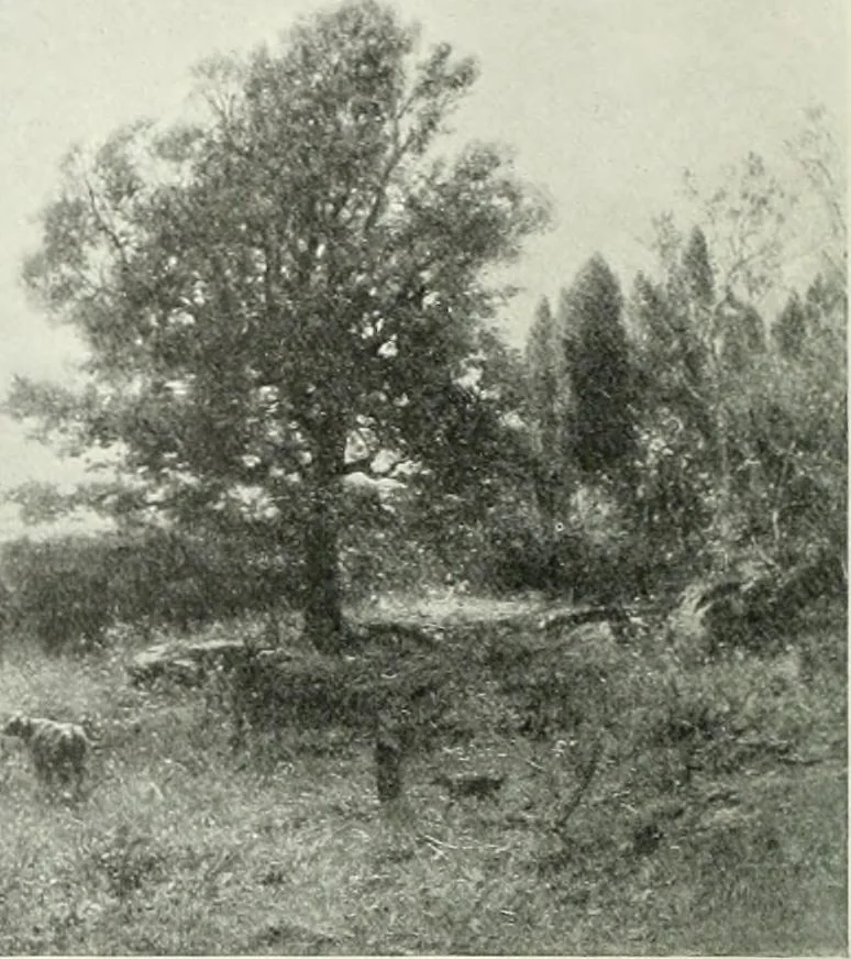 An illustration from Studio international, 1893, leaf 11