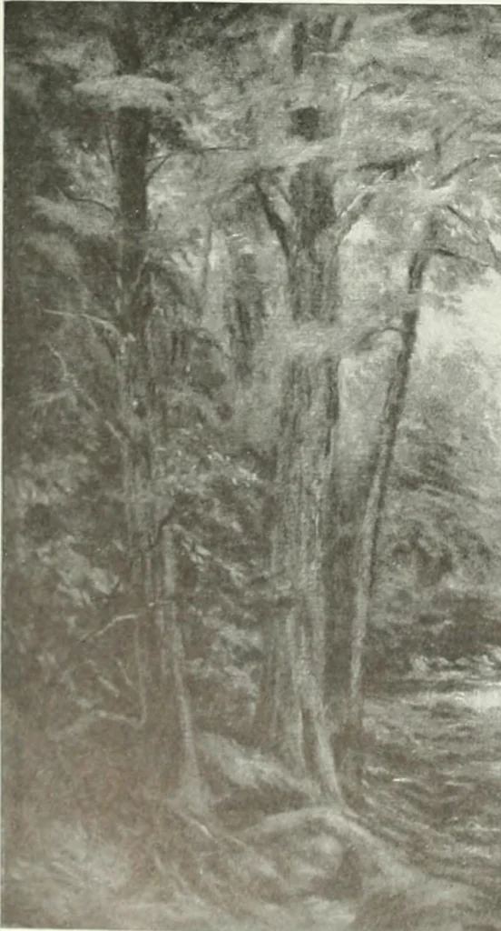 An illustration from Studio international, 1893, leaf 13