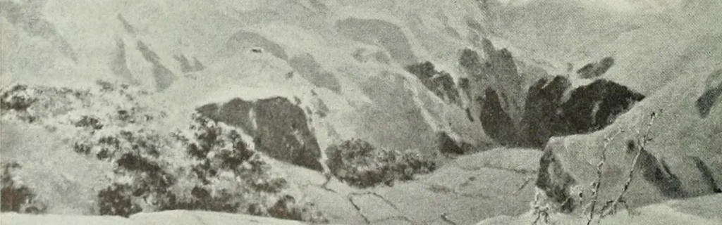 An illustration from Studio international, 1893, leaf 283