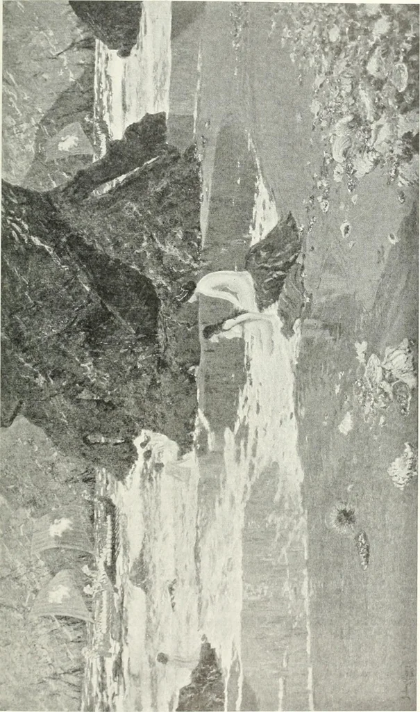 An illustration from Studio international, 1893, leaf 286