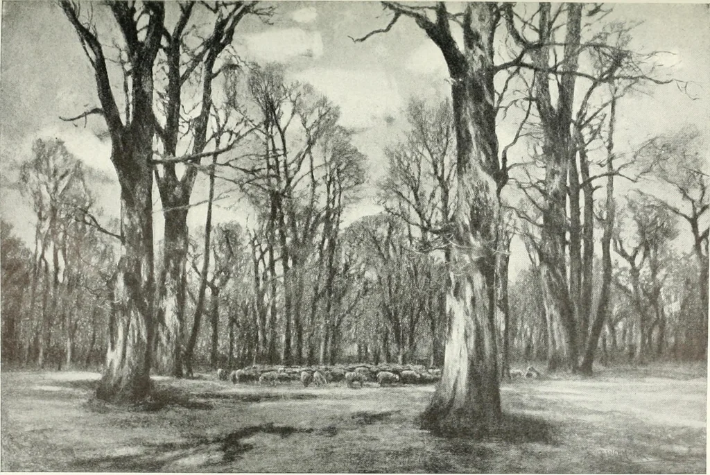 An illustration from Studio international, 1893, leaf 296