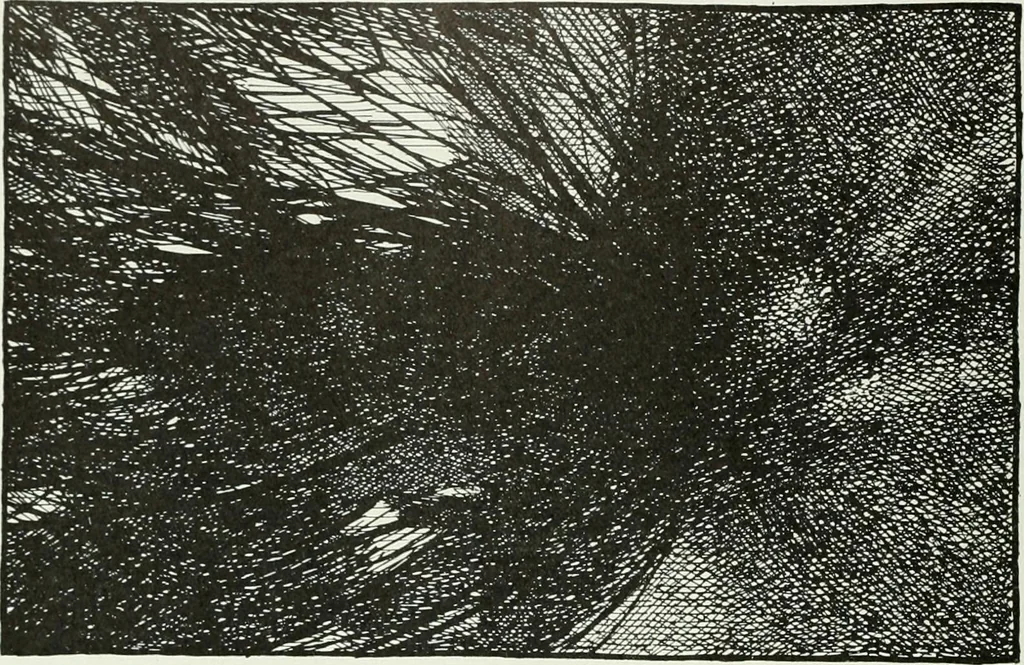 An illustration from Studio international, 1893, leaf 79