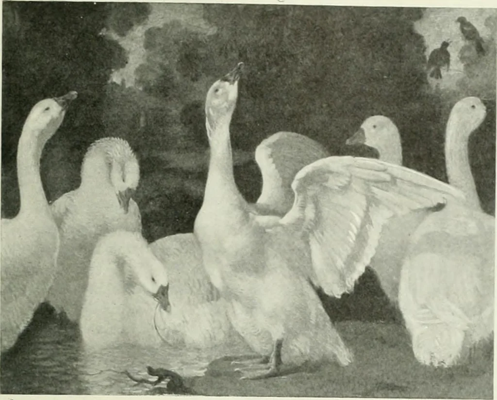 An illustration from Studio international, 1893, leaf 170