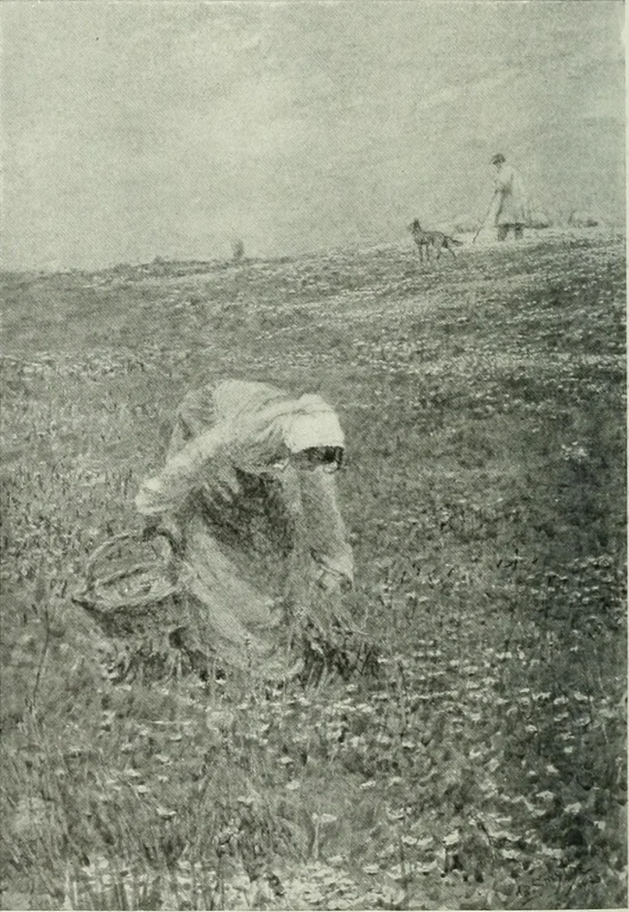 An illustration from Studio international, 1893, leaf 179