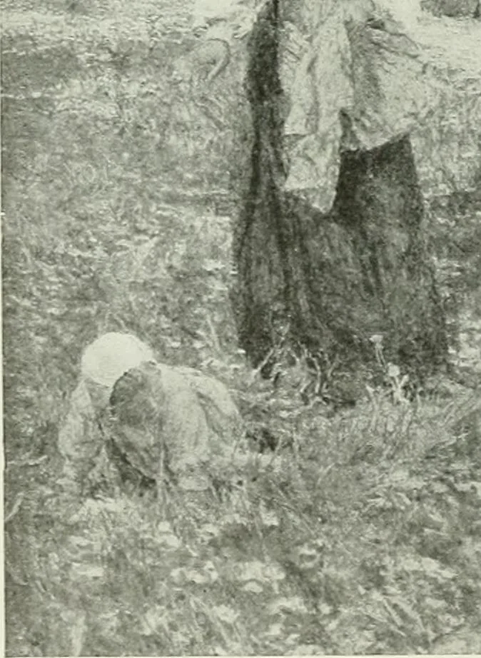 An illustration from Studio international, 1893, leaf 181
