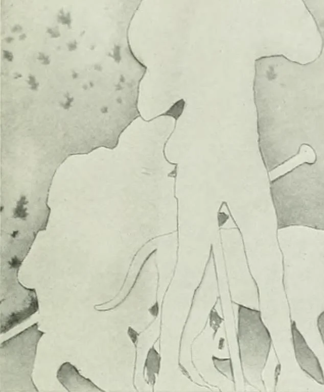 An illustration from Studio international, 1893, leaf 200