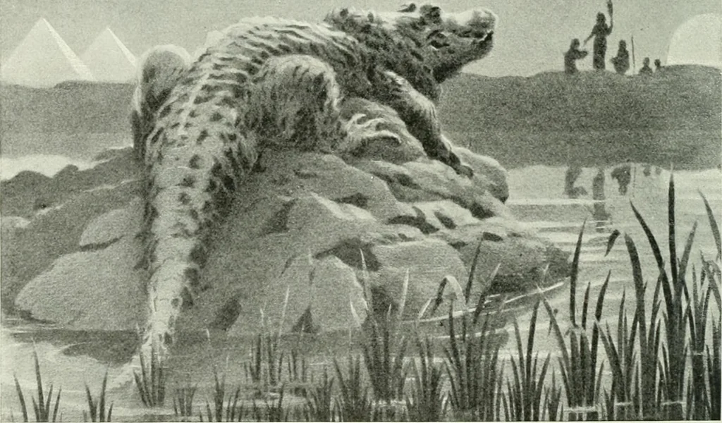 An illustration from Studio international, 1893, leaf 205