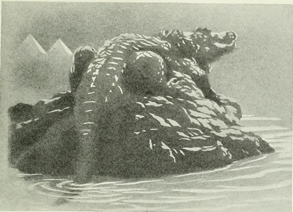 An illustration from Studio international, 1893, leaf 206