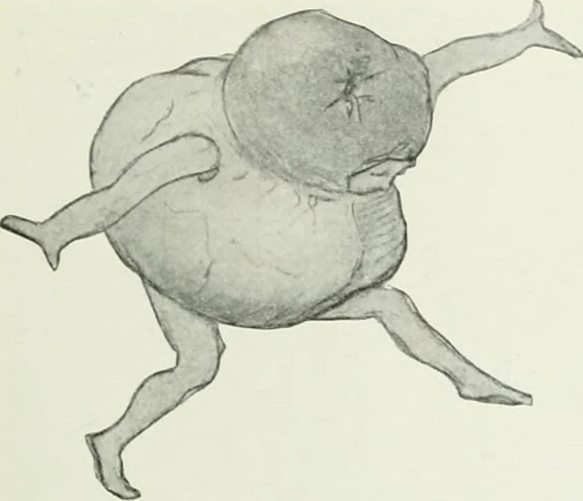 An illustration from Studio international, 1893, leaf 220