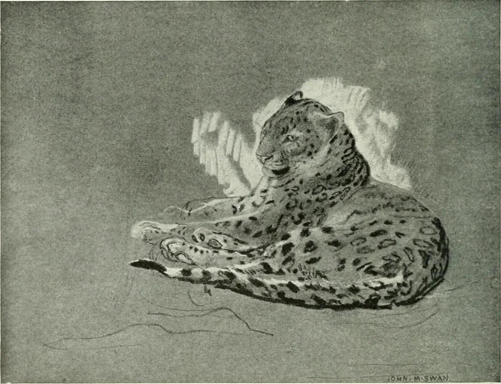 An illustration from Studio international, 1893, leaf 227