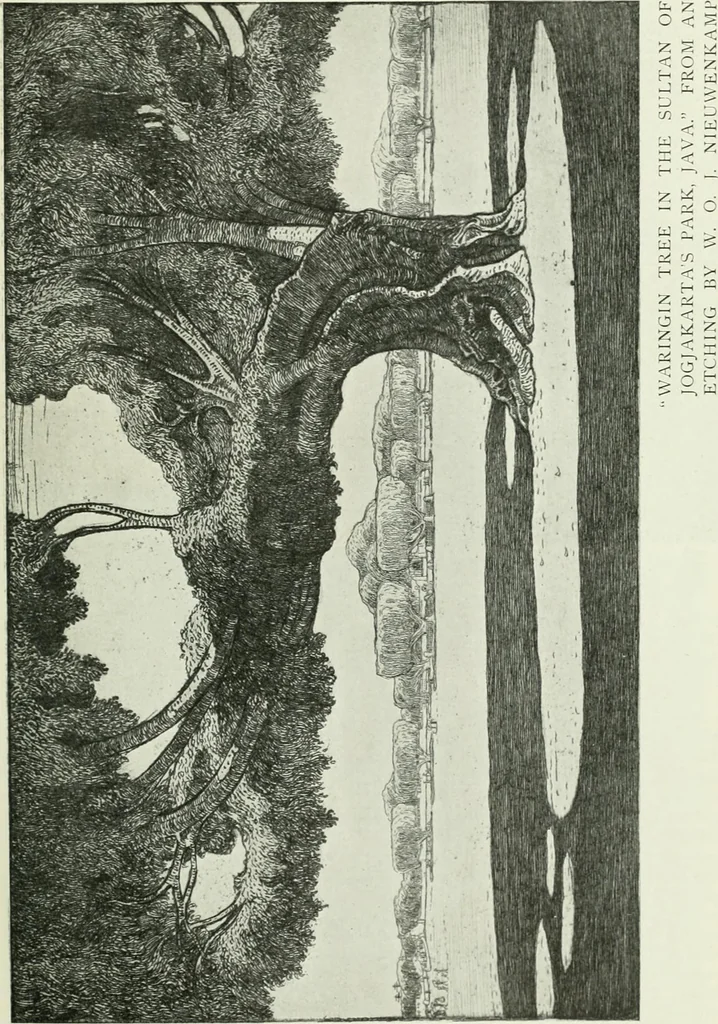 An illustration from Studio international, 1893, leaf 246