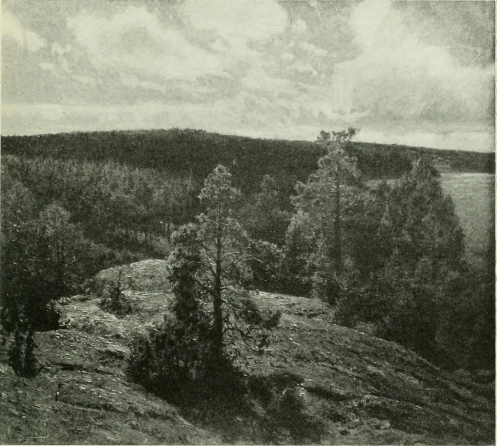 An illustration from Studio international, 1893, leaf 250