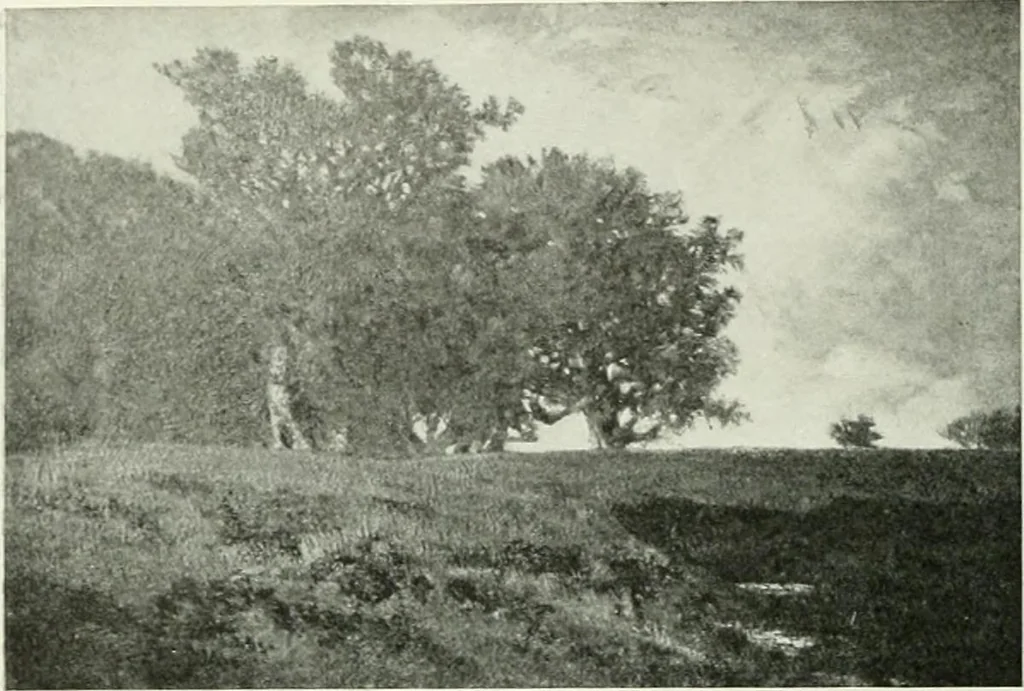 An illustration from Studio international, 1893, leaf 251
