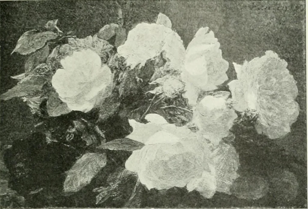 An illustration from Studio international, 1893, leaf 314