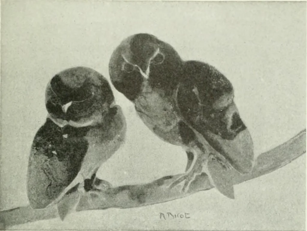 An illustration from Studio international, 1893, leaf 322