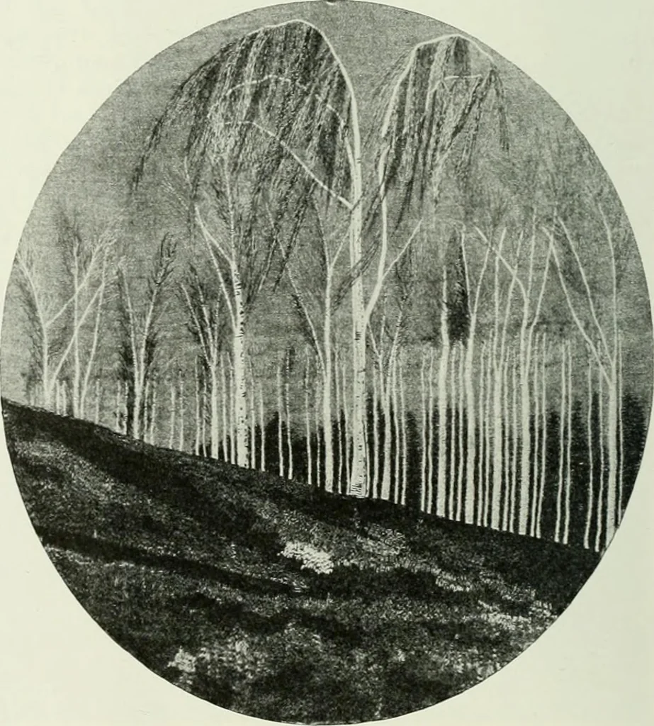 An illustration from Studio international, 1893, leaf 323