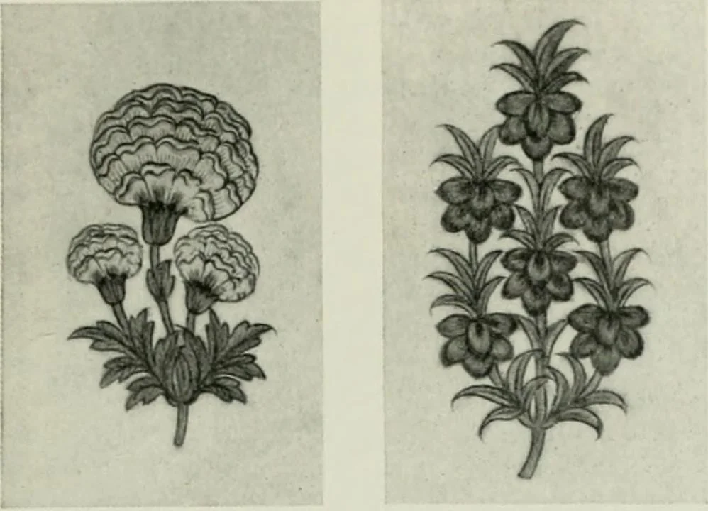 An illustration from Studio international, 1893, leaf 208