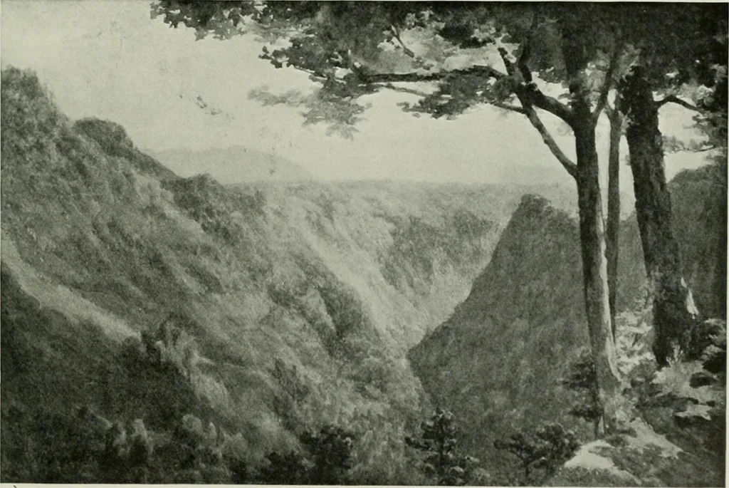 An illustration from Studio international, 1893, leaf 230