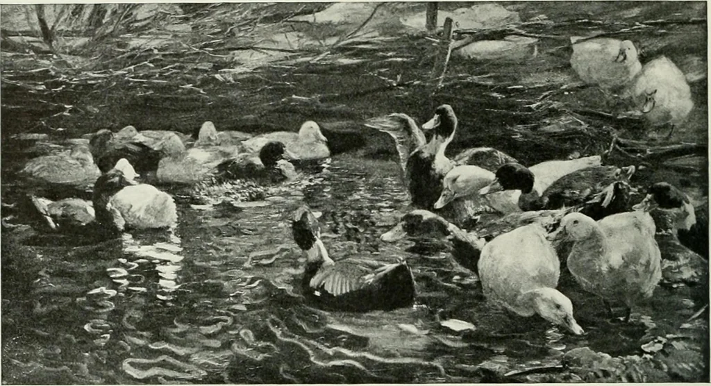 An illustration from Studio international, 1893, leaf 335