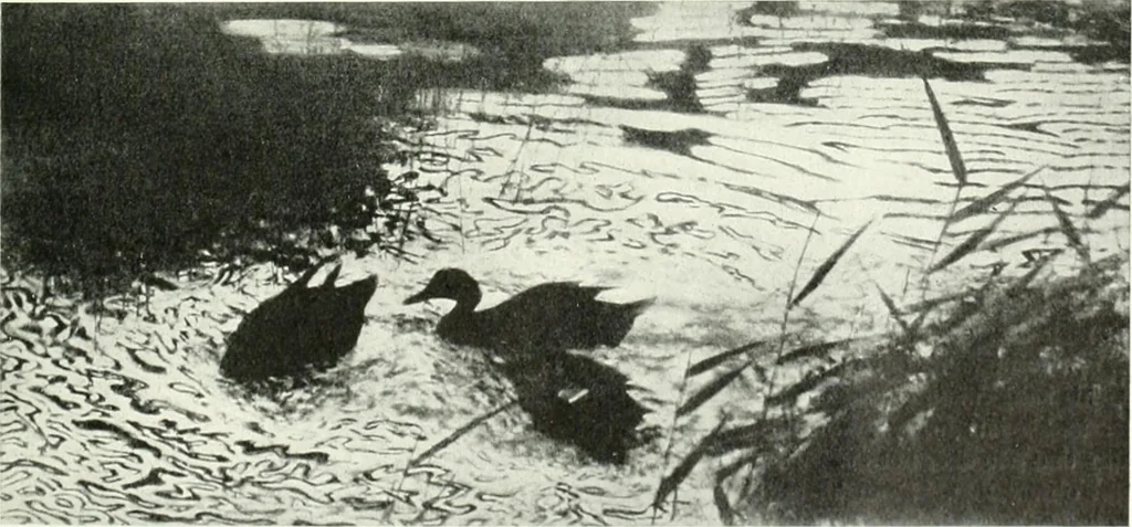 An illustration from Studio international, 1893, leaf 126