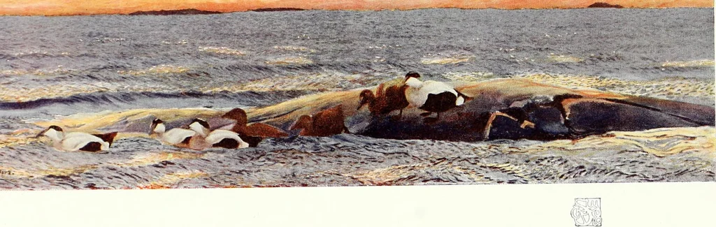 An illustration from Studio international, 1893, leaf 128