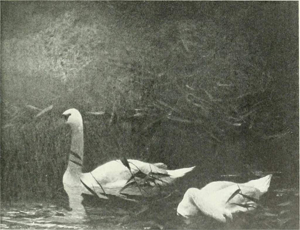An illustration from Studio international, 1893, leaf 130