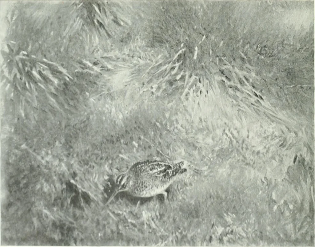 An illustration from Studio international, 1893, leaf 131